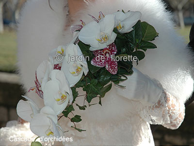 bouquet cascade d'orchidées mouchetées